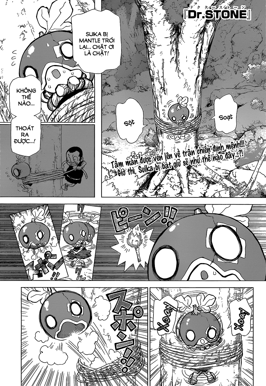 Dr.stone Tập 35 trang 3