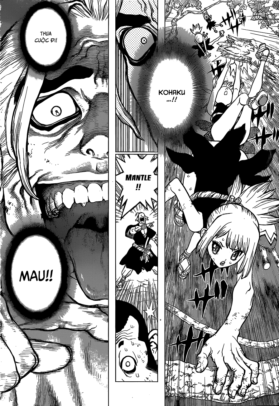 Dr.stone Tập 36 trang 12