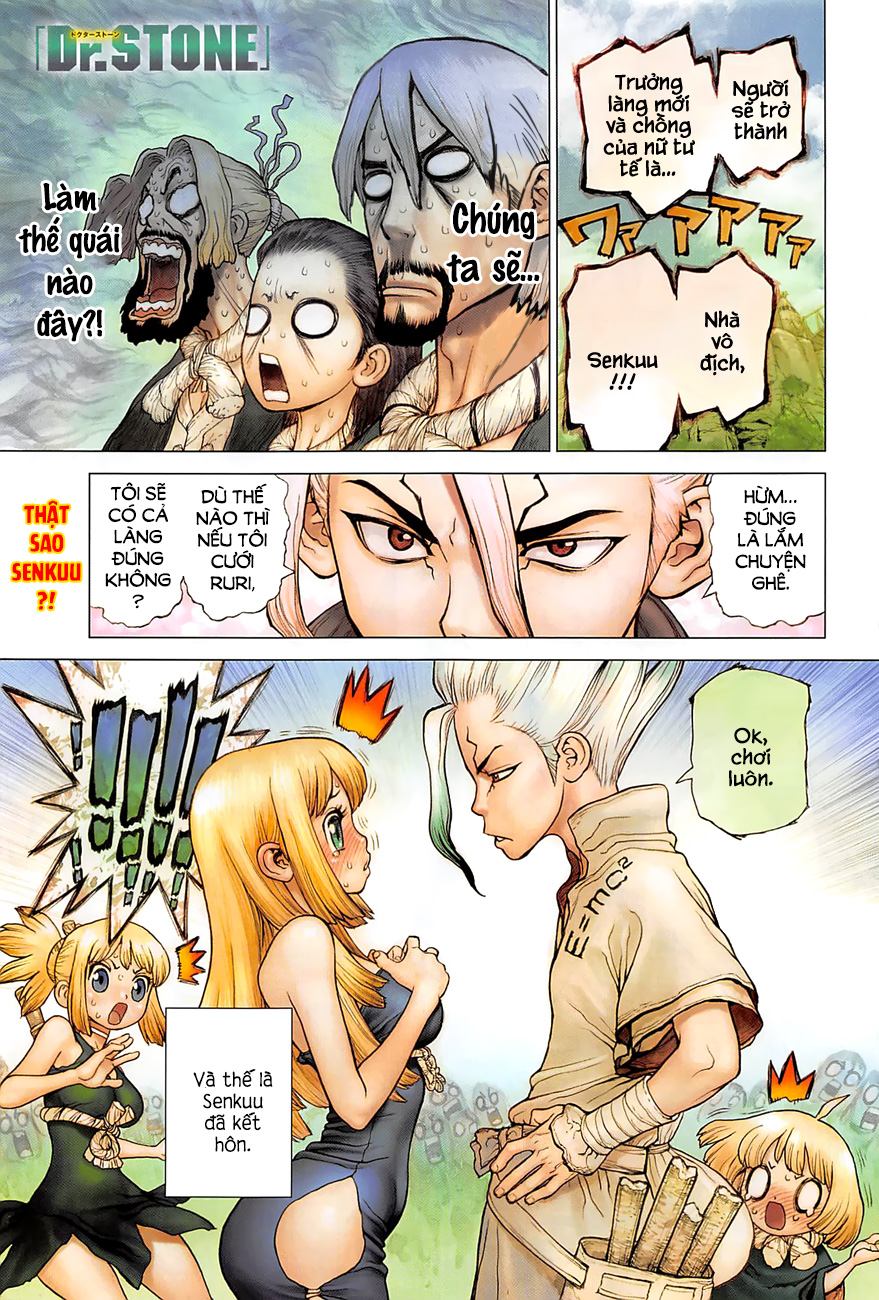 Dr.stone Tập 40 trang 3