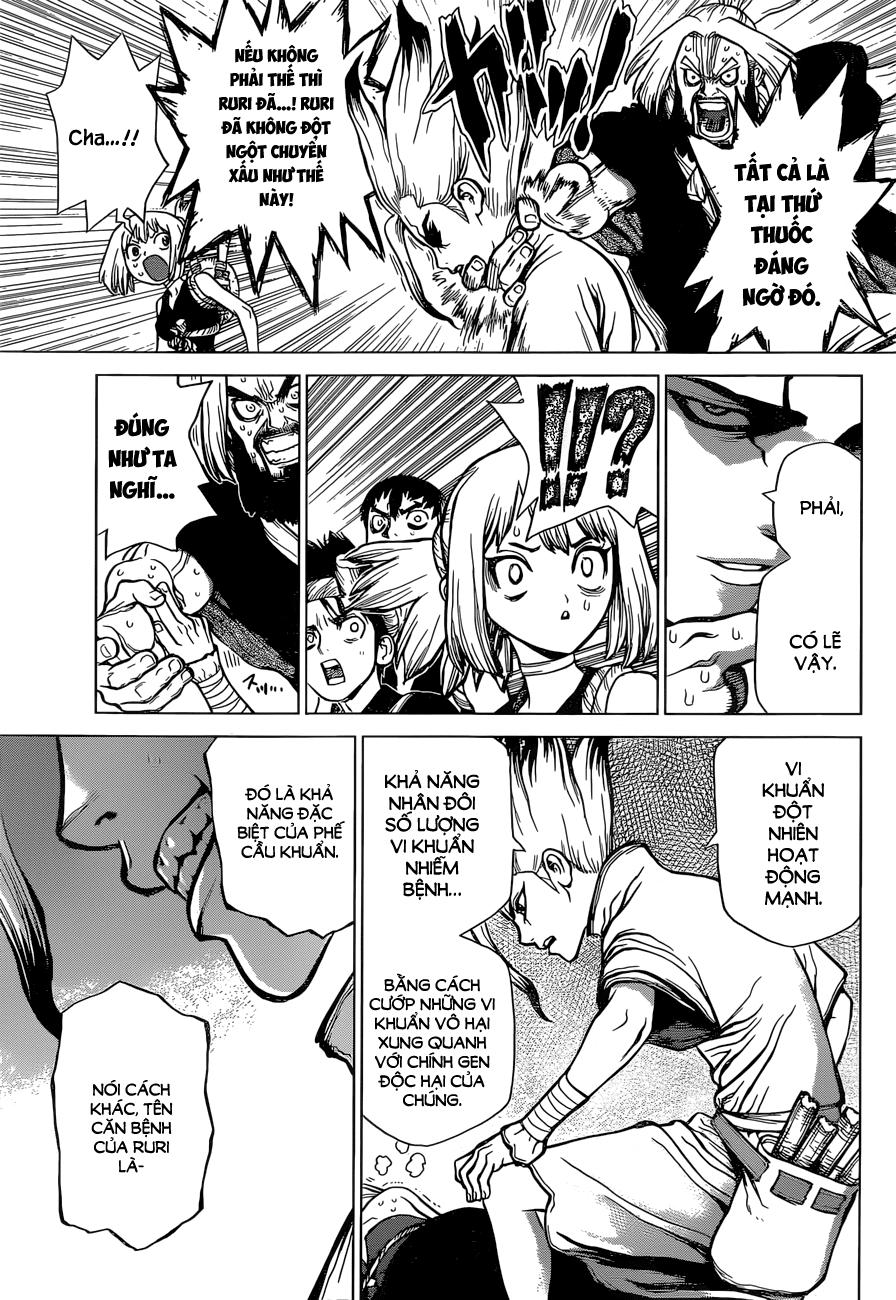 Dr.stone Tập 41 trang 11