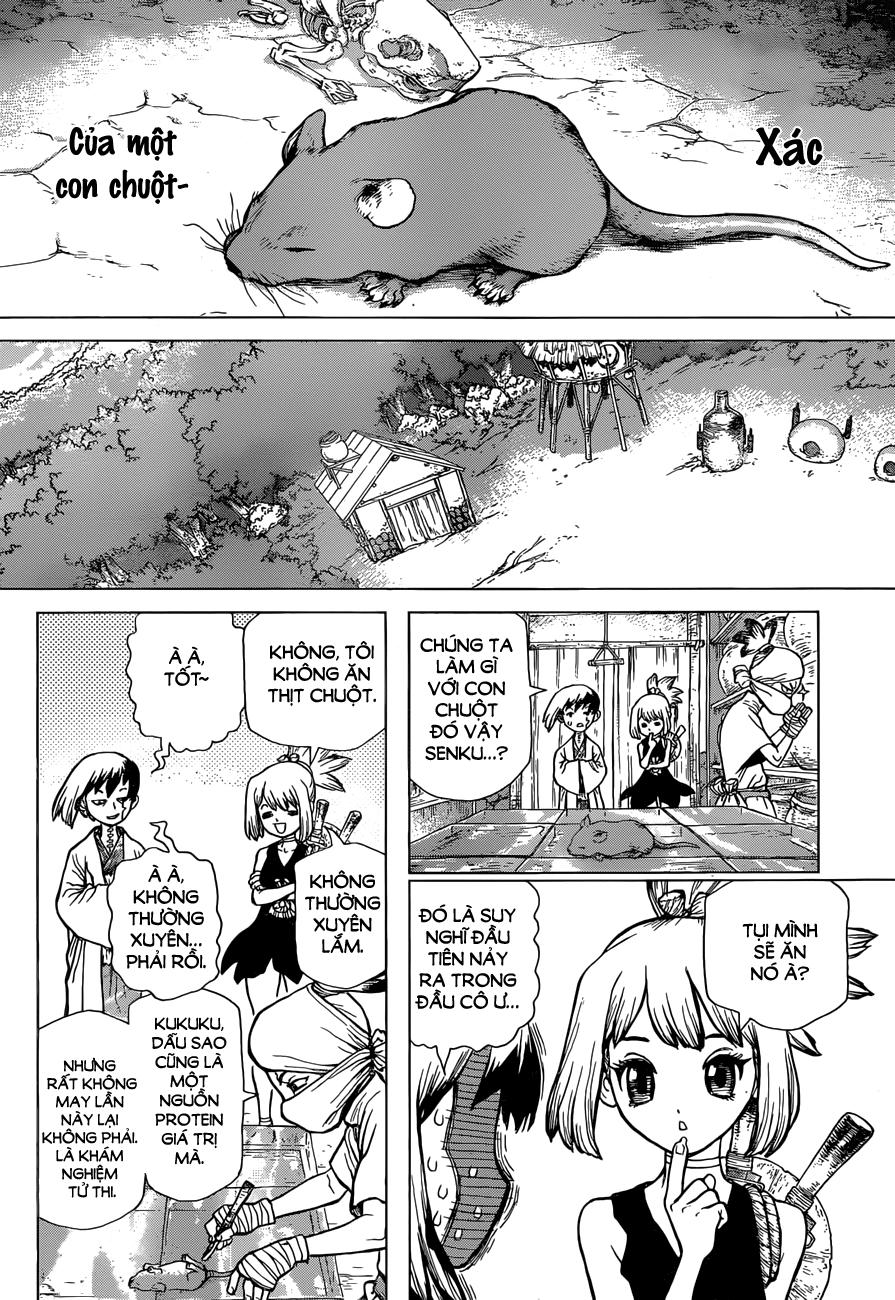 Dr.stone Tập 41 trang 6