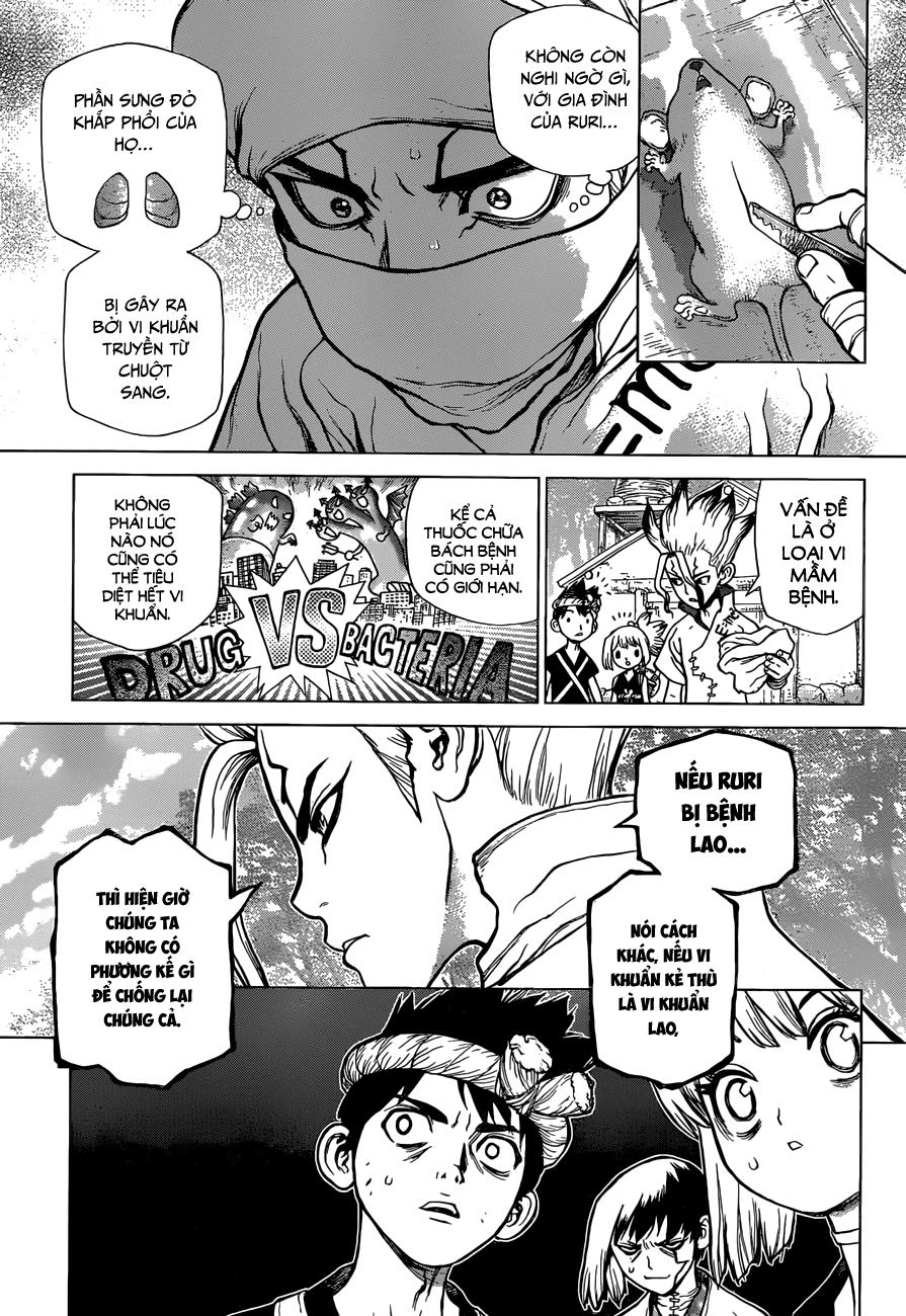 Dr.stone Tập 41 trang 7