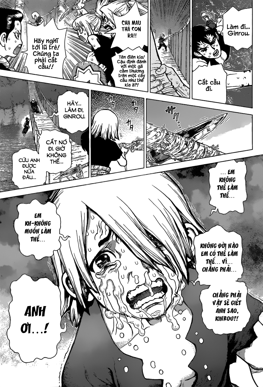 Dr.stone Tập 46 trang 14