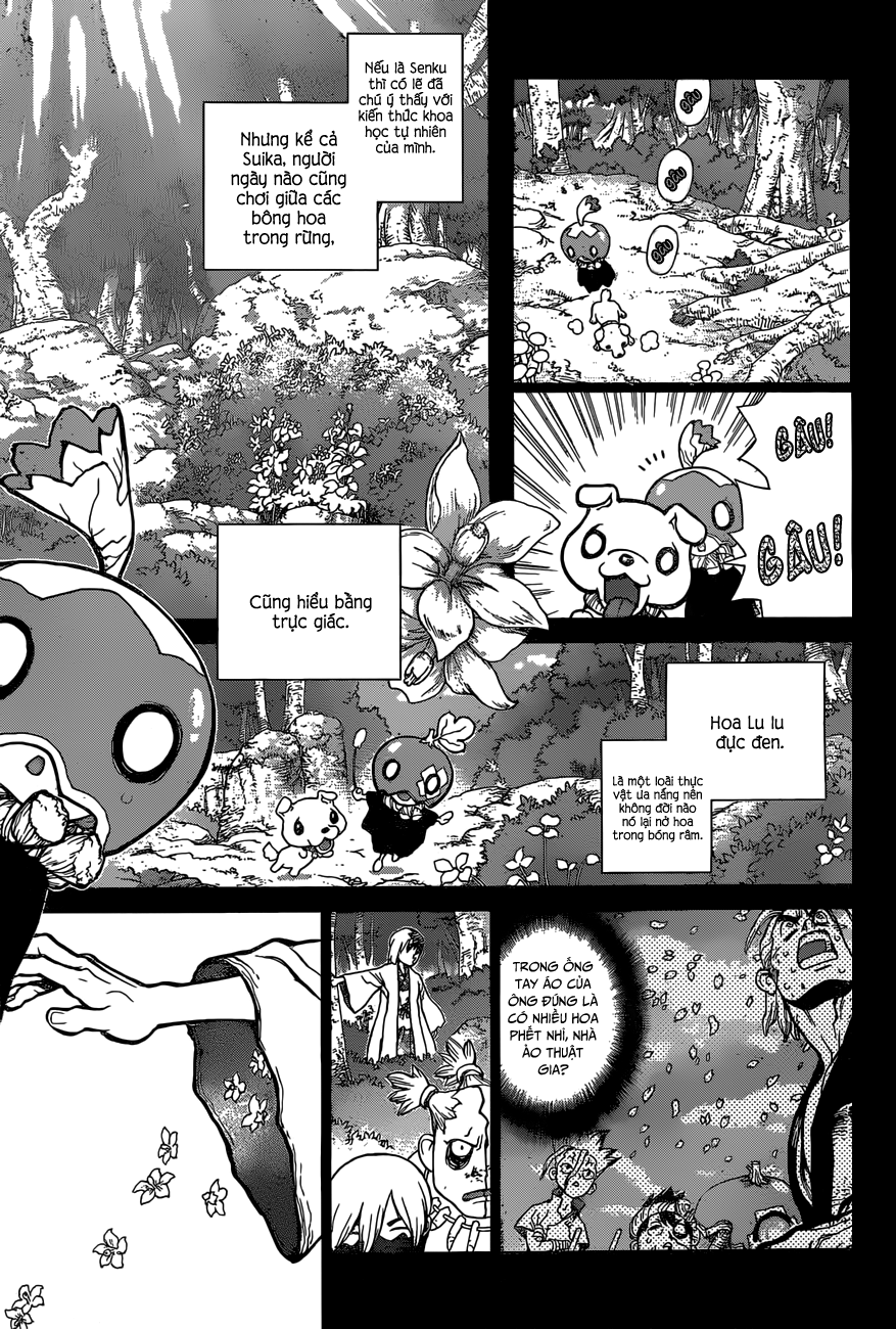Dr.stone Tập 48 trang 17
