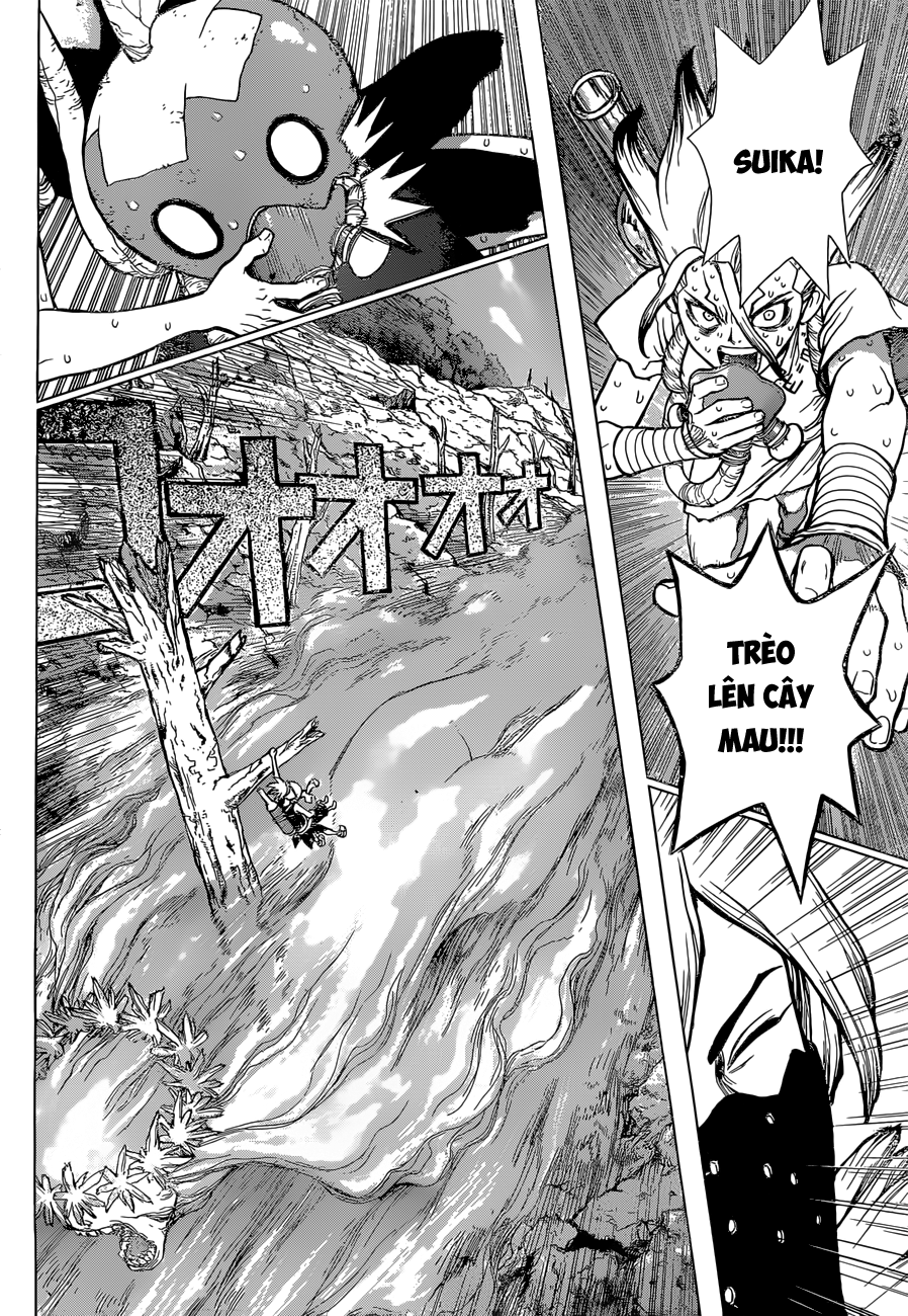 Dr.stone Tập 49 trang 13