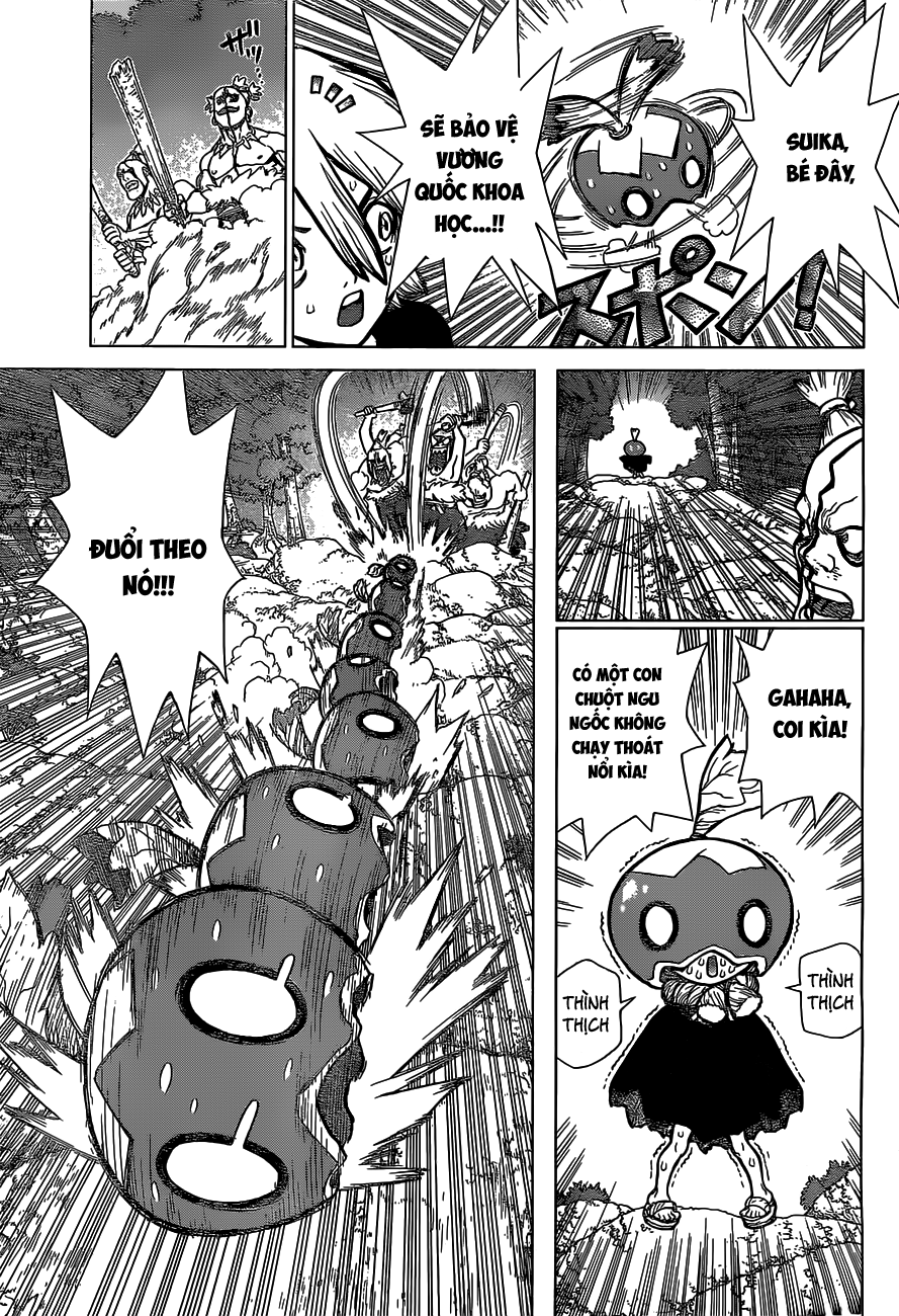 Dr.stone Tập 49 trang 8