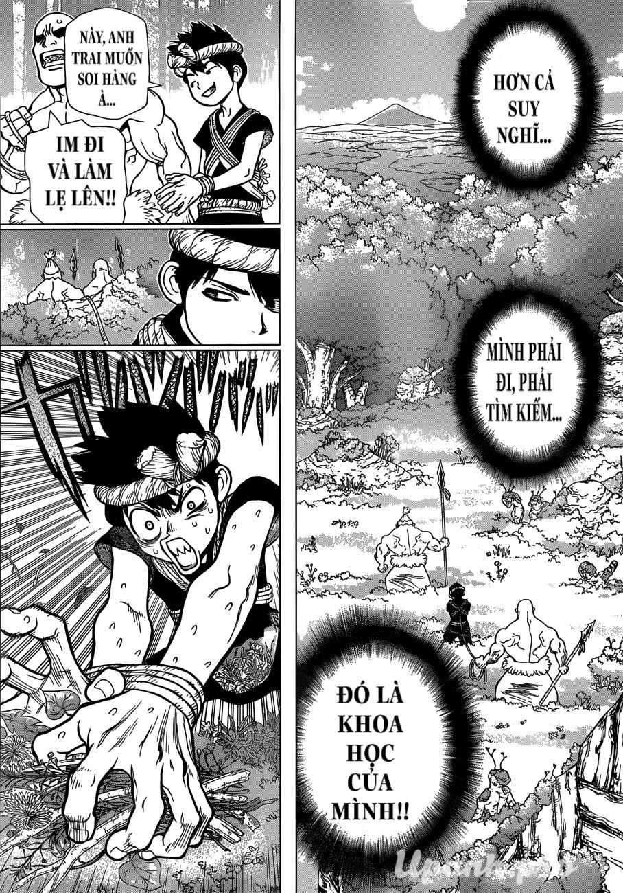 Dr.stone Tập 71 trang 8