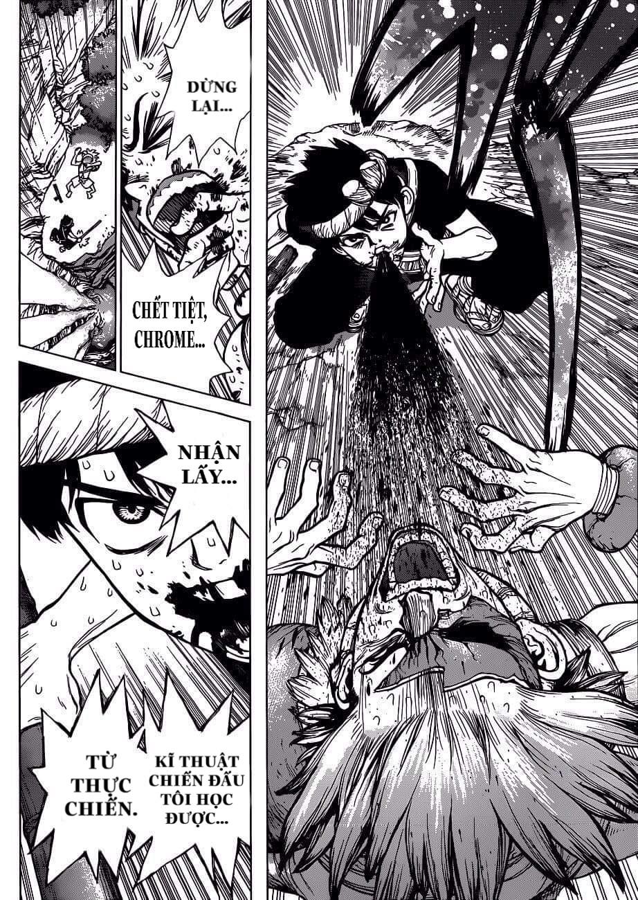 Dr.stone Tập 72 trang 14