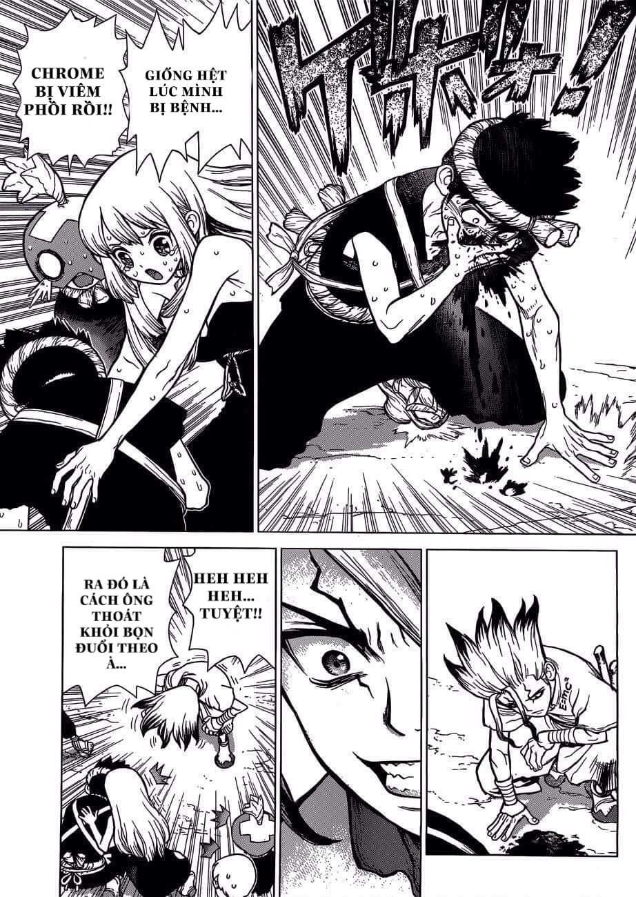 Dr.stone Tập 72 trang 17