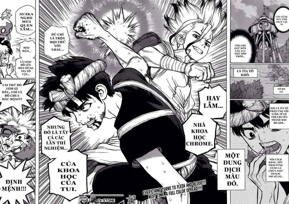 Dr.stone Tập 72 trang 18