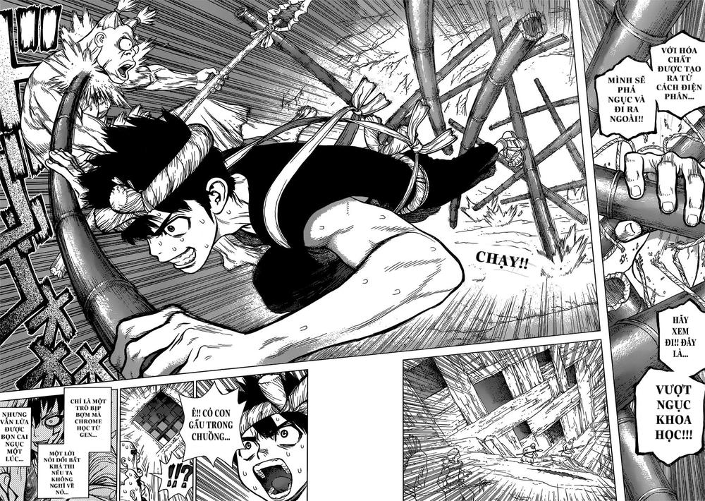 Dr.stone Tập 72 trang 4