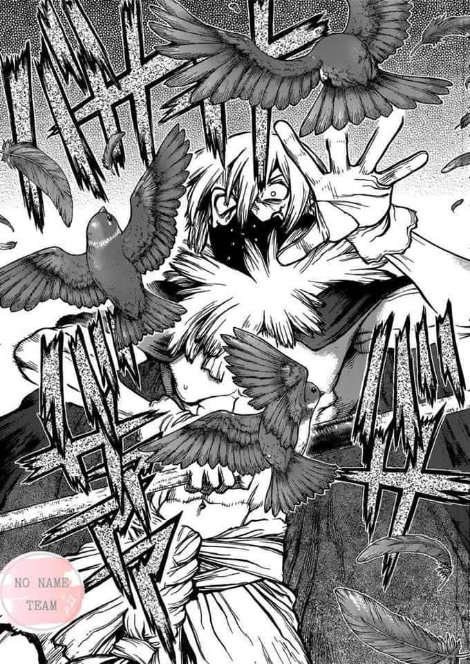 Dr.stone Tập 80 trang 17