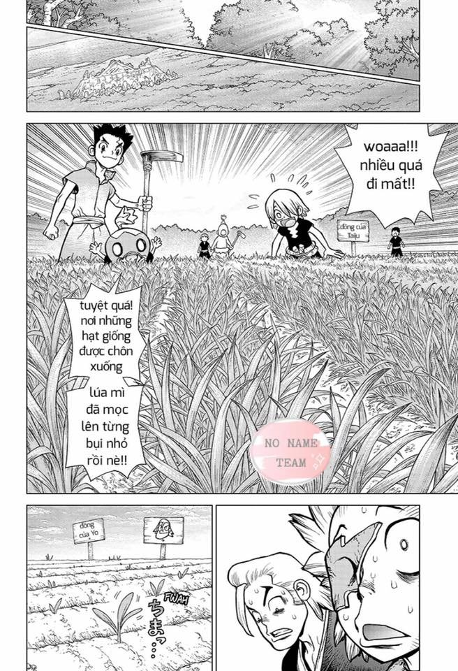 Dr.stone Tập 91 trang 14