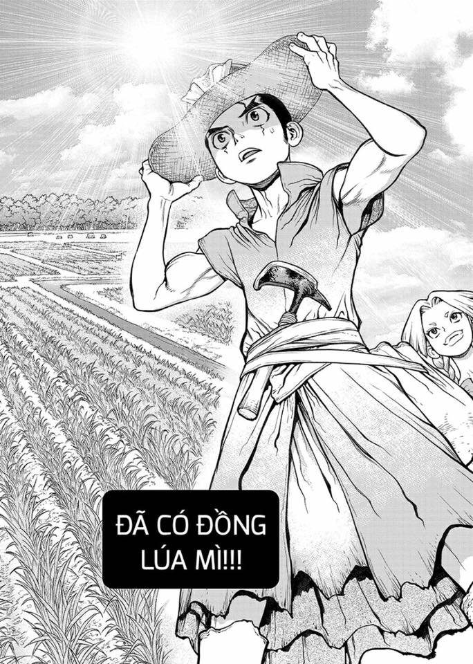 Dr.stone Tập 91 trang 17