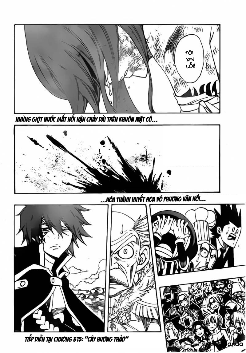 Fairy Tail Tập 314 trang 24
