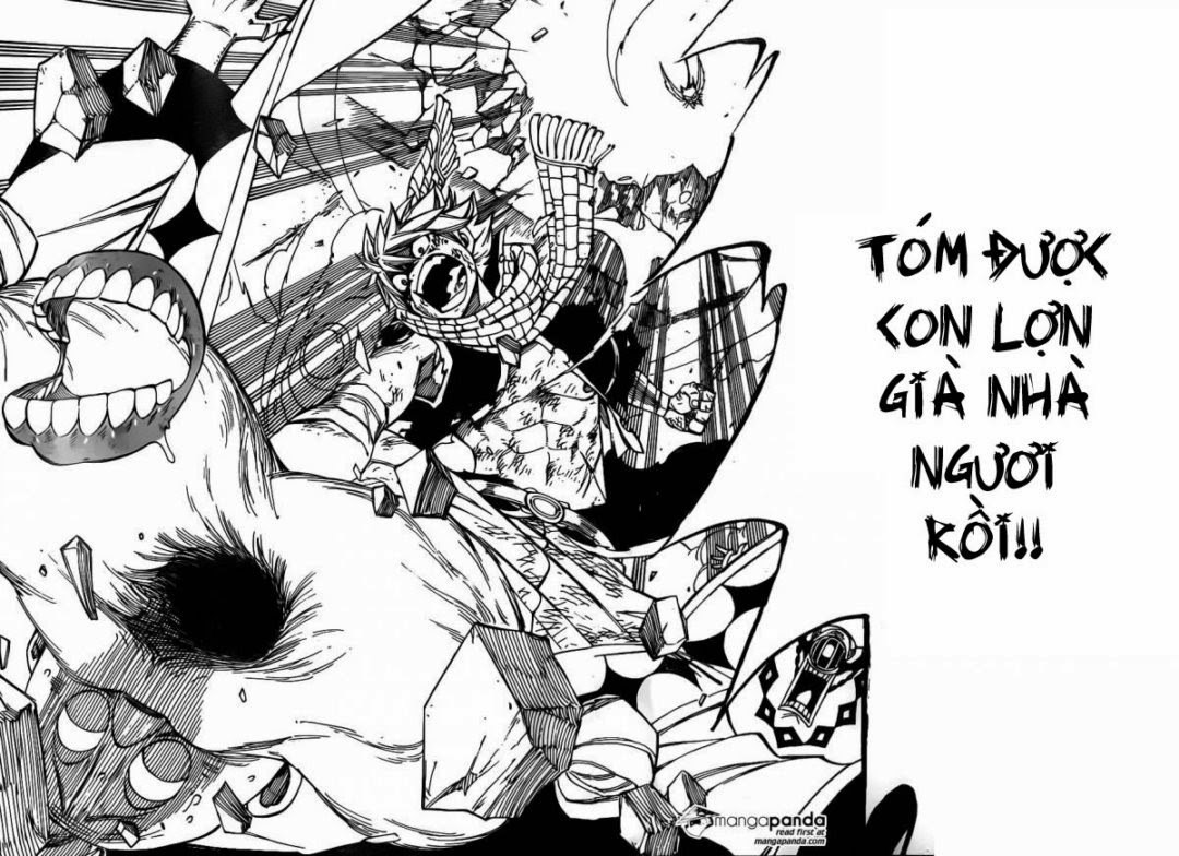 Fairy Tail Tập 365 trang 34