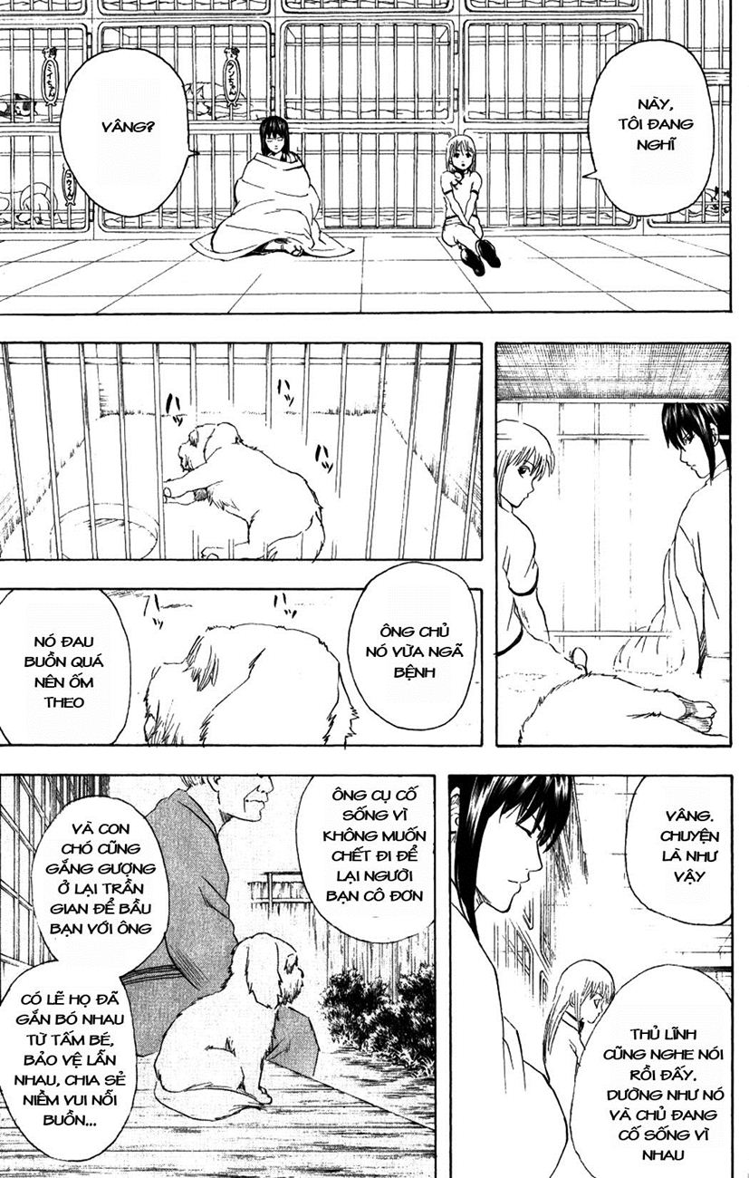 Gintama Tập 207 trang 12