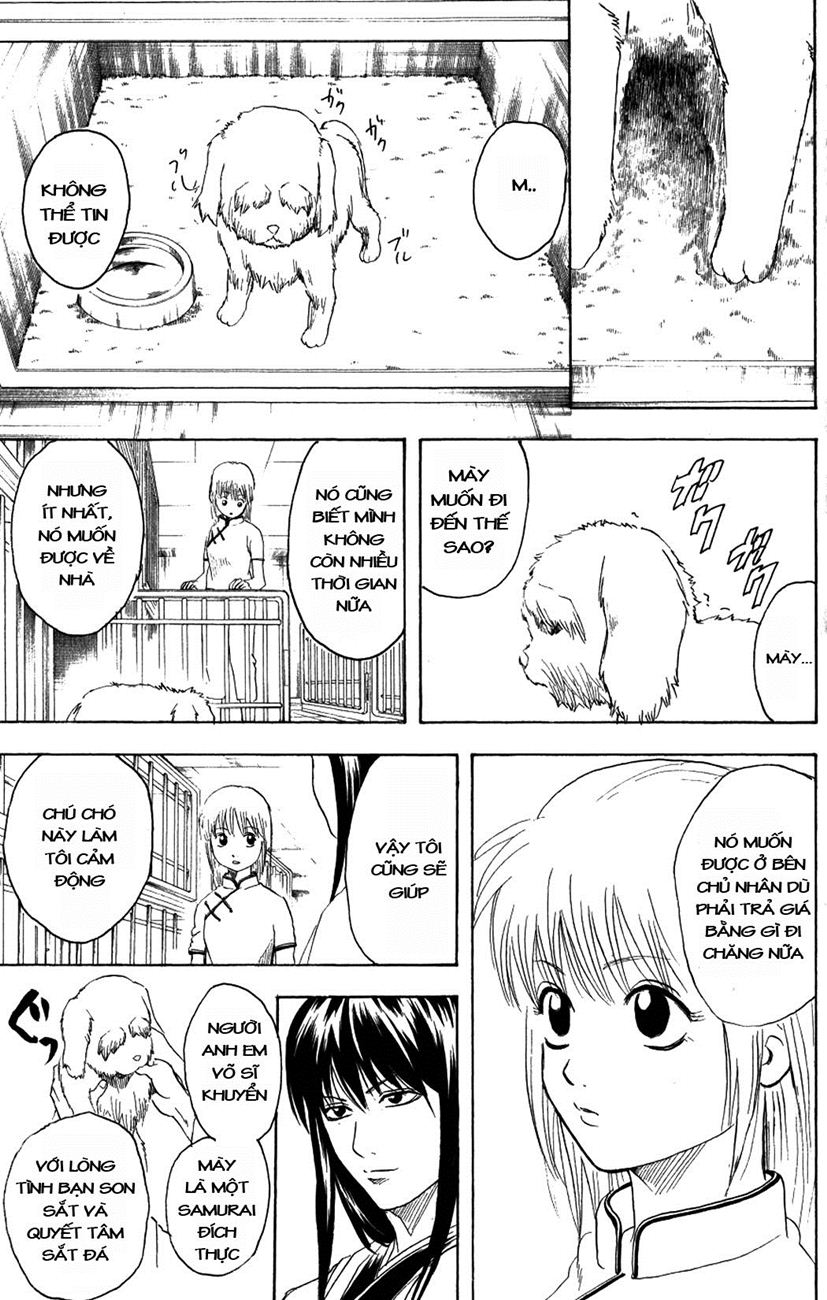 Gintama Tập 207 trang 14