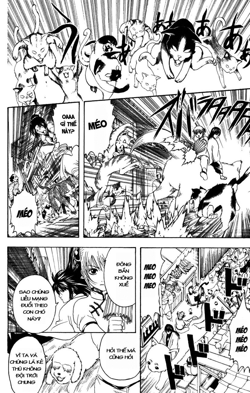 Gintama Tập 208 trang 7