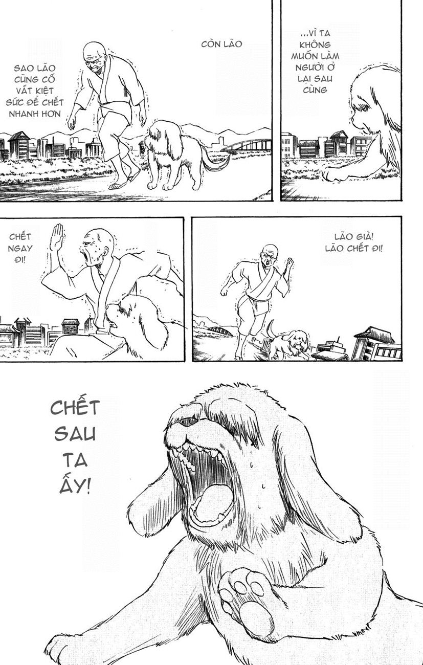 Gintama Tập 209 trang 20