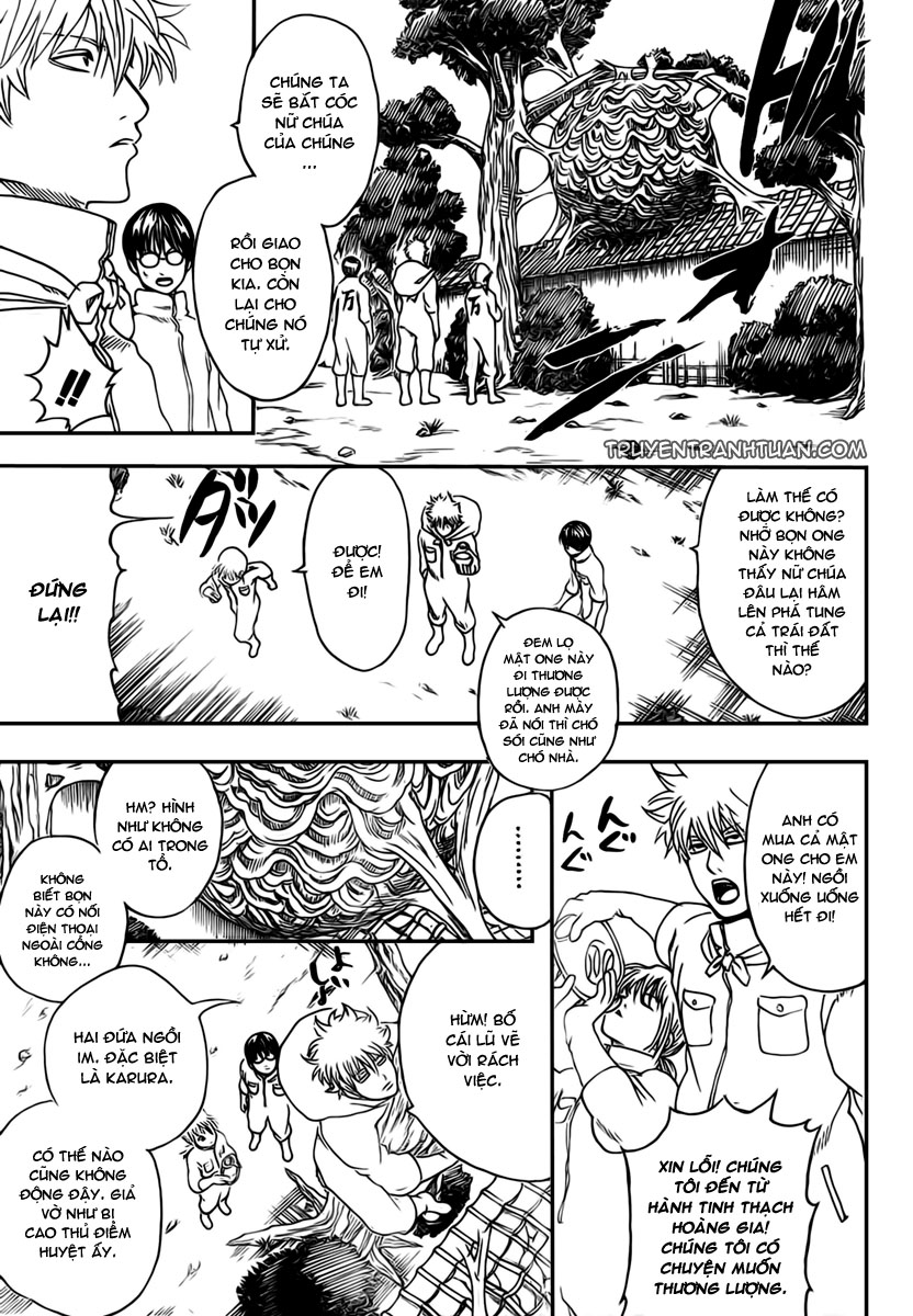 Gintama Tập 269 trang 14
