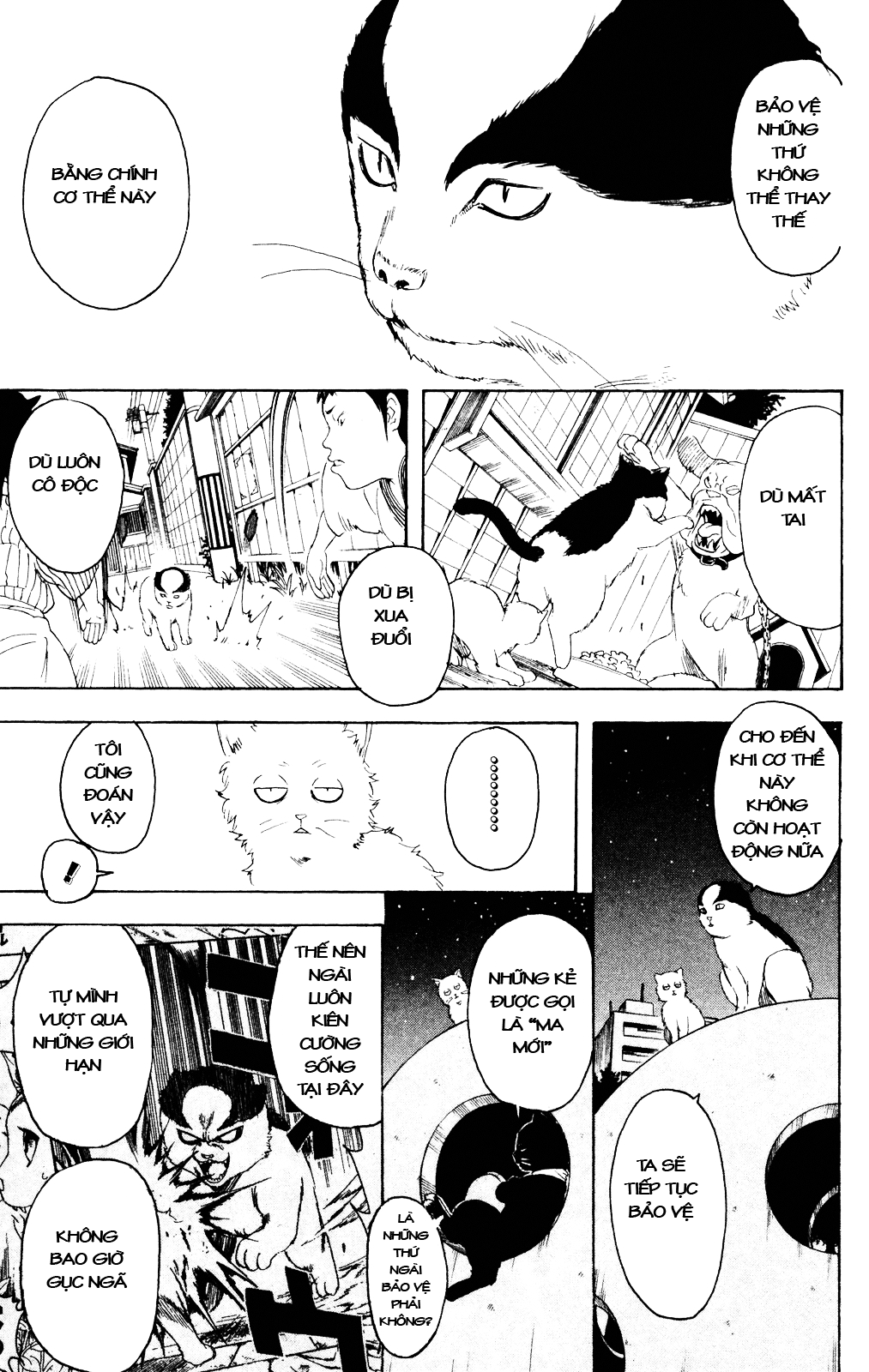 Gintama Tập 277 trang 15