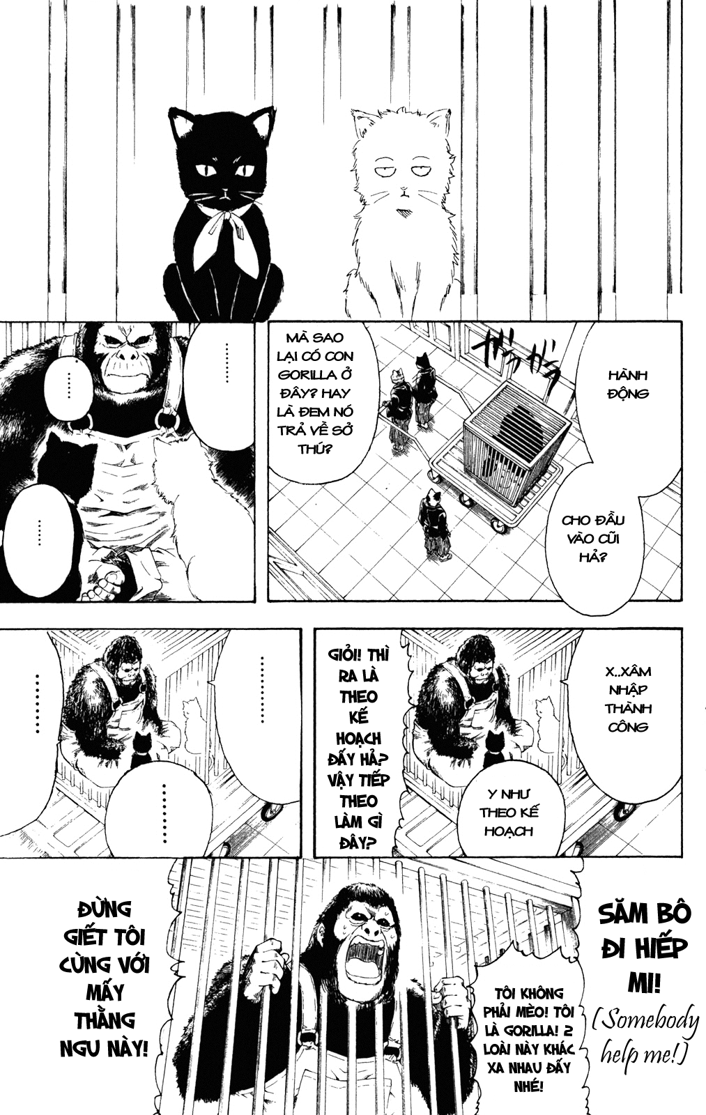 Gintama Tập 278 trang 9