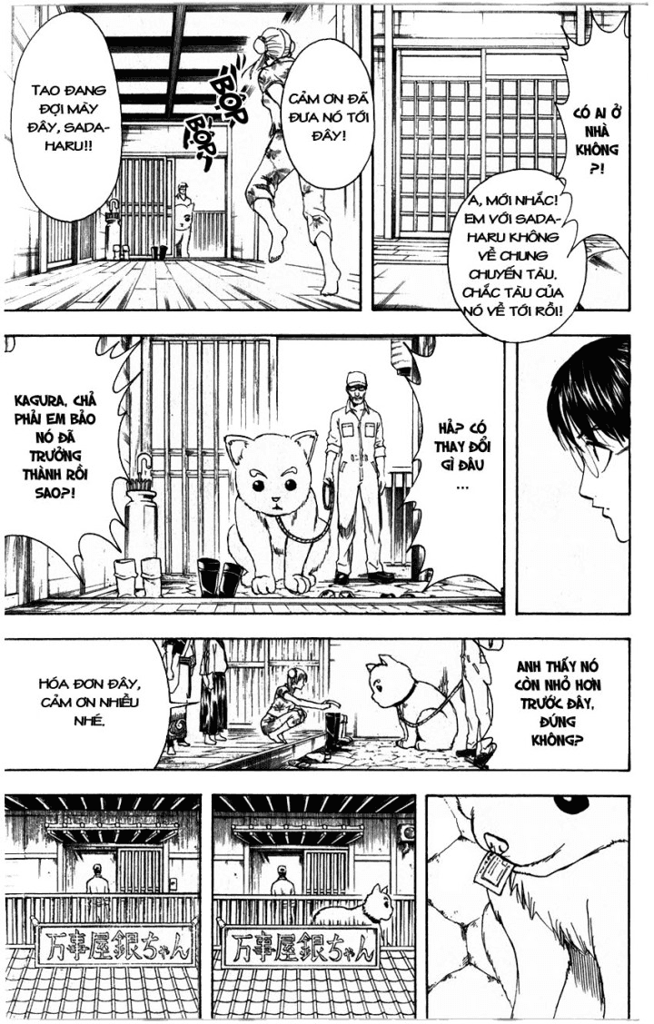 Gintama Tập 324 trang 10