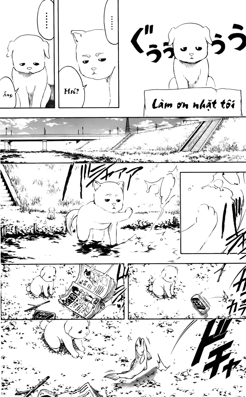 Gintama Tập 401 trang 8