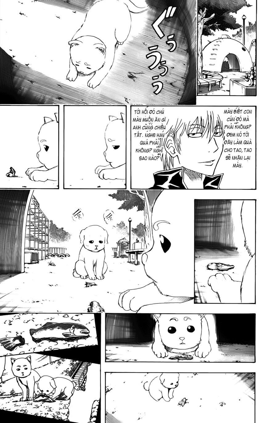 Gintama Tập 402 trang 11