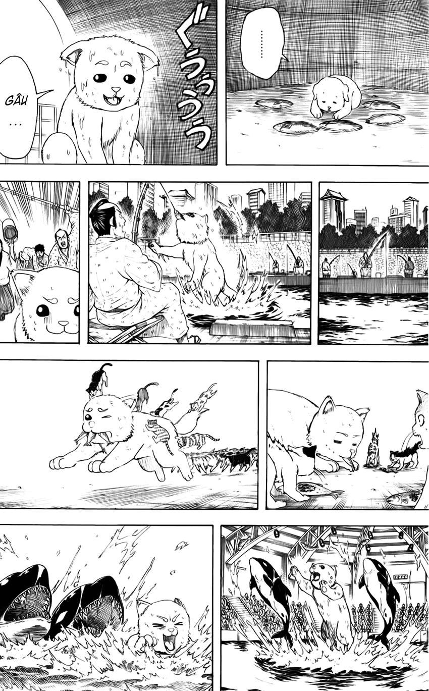 Gintama Tập 402 trang 15