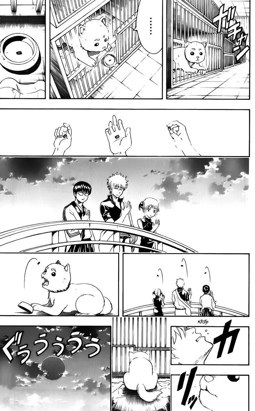 Gintama Tập 402 trang 23