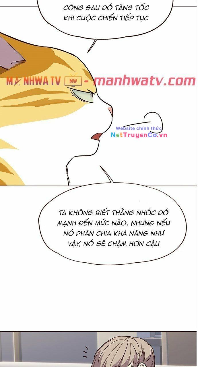 Hoá Thân Thành Mèo Tập 21 trang 49