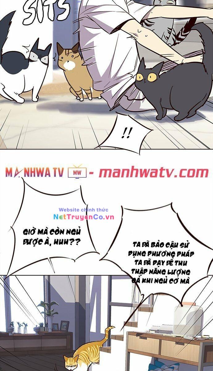 Hoá Thân Thành Mèo Tập 21 trang 69