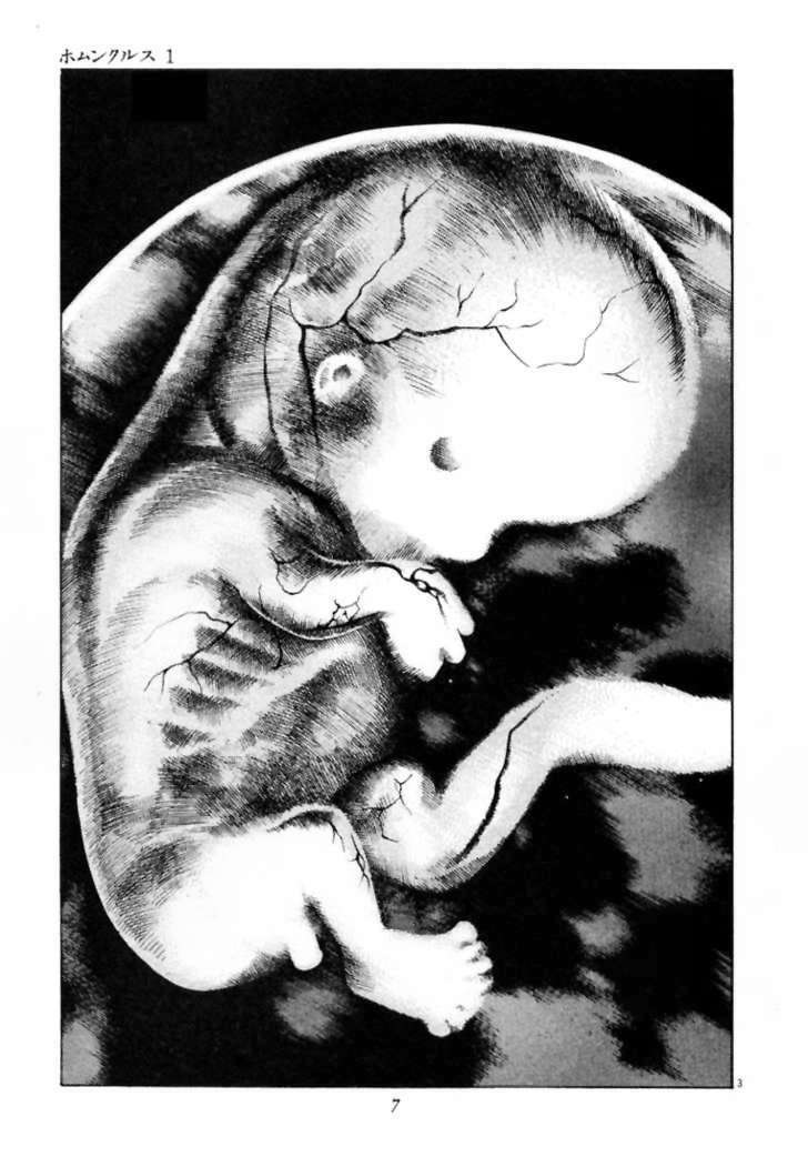 Homunculus Tập 1 trang 7