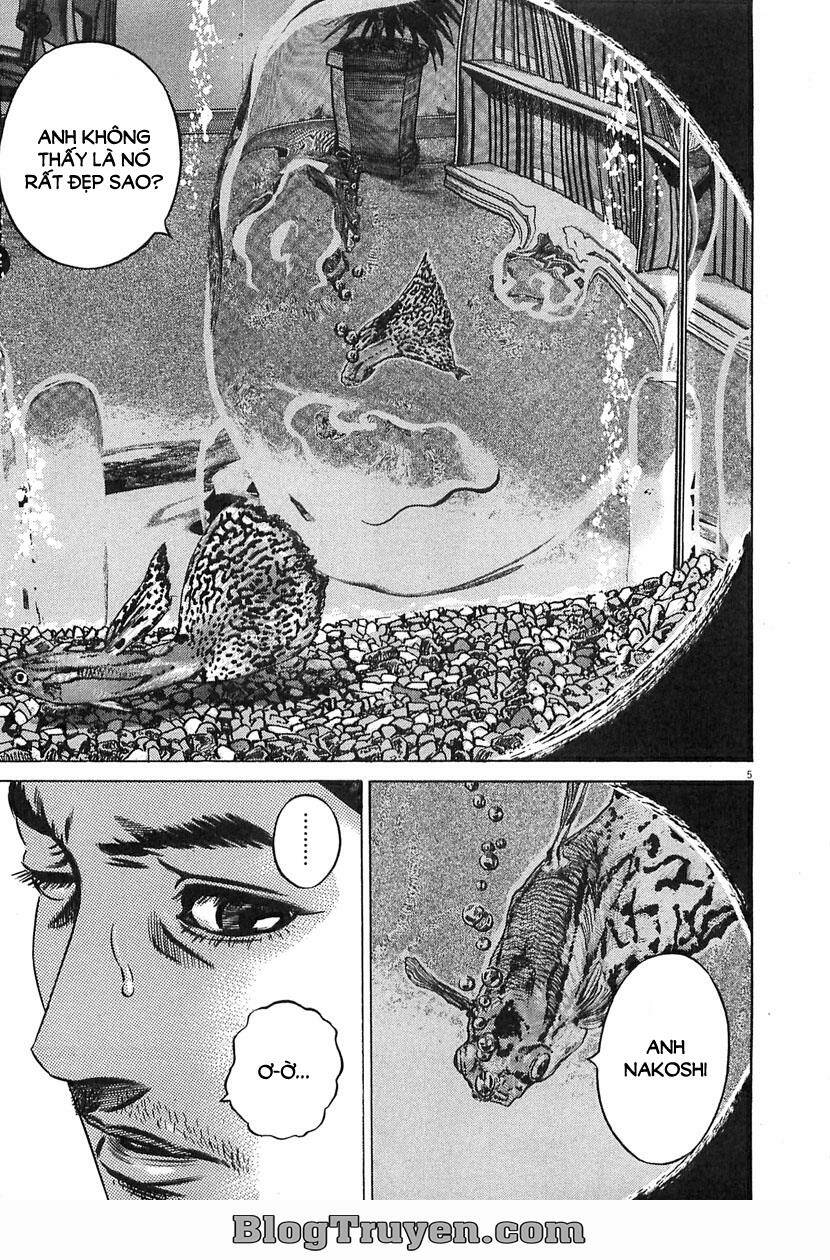 Homunculus Tập 62 trang 9