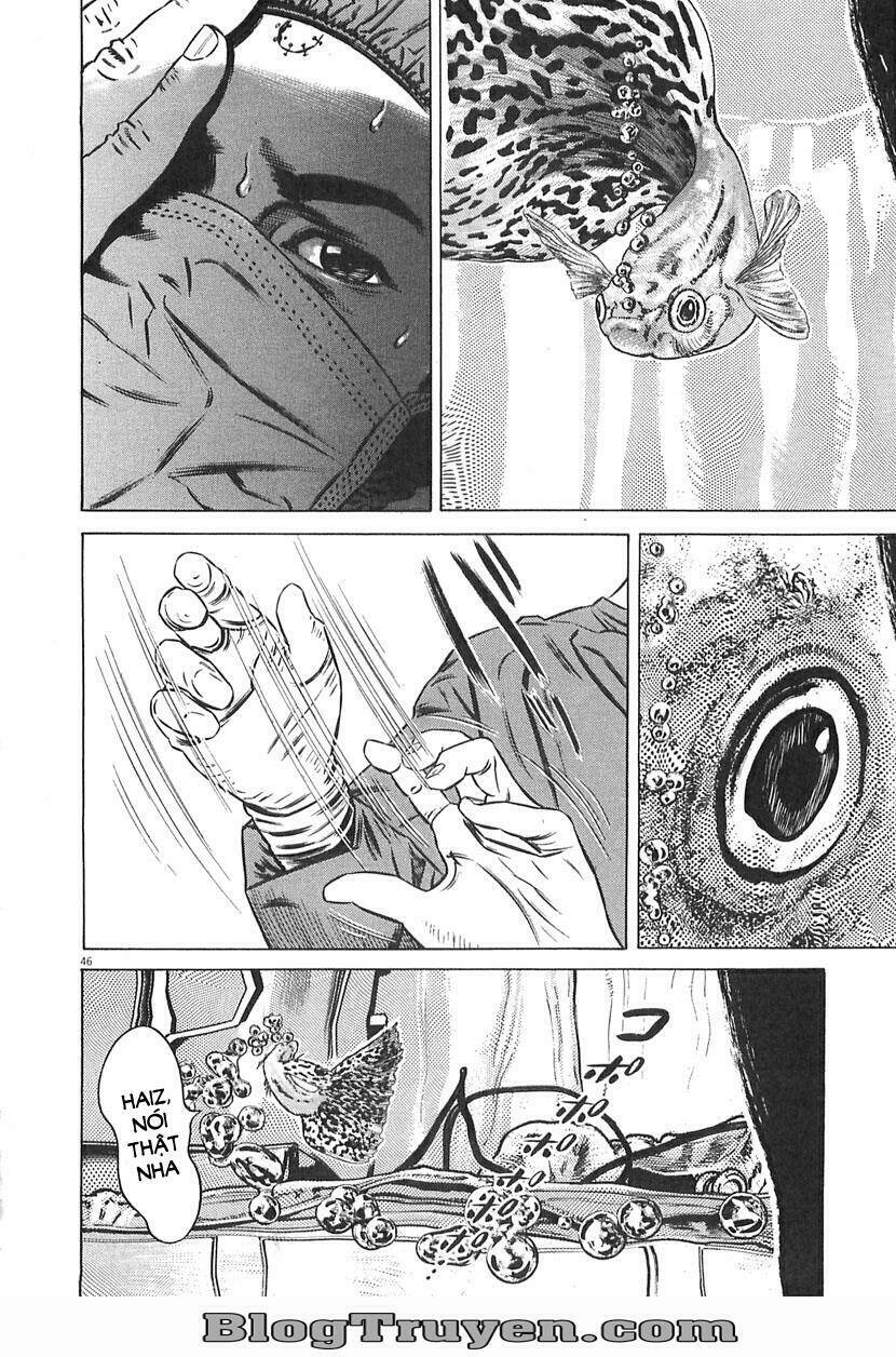 Homunculus Tập 64 trang 11