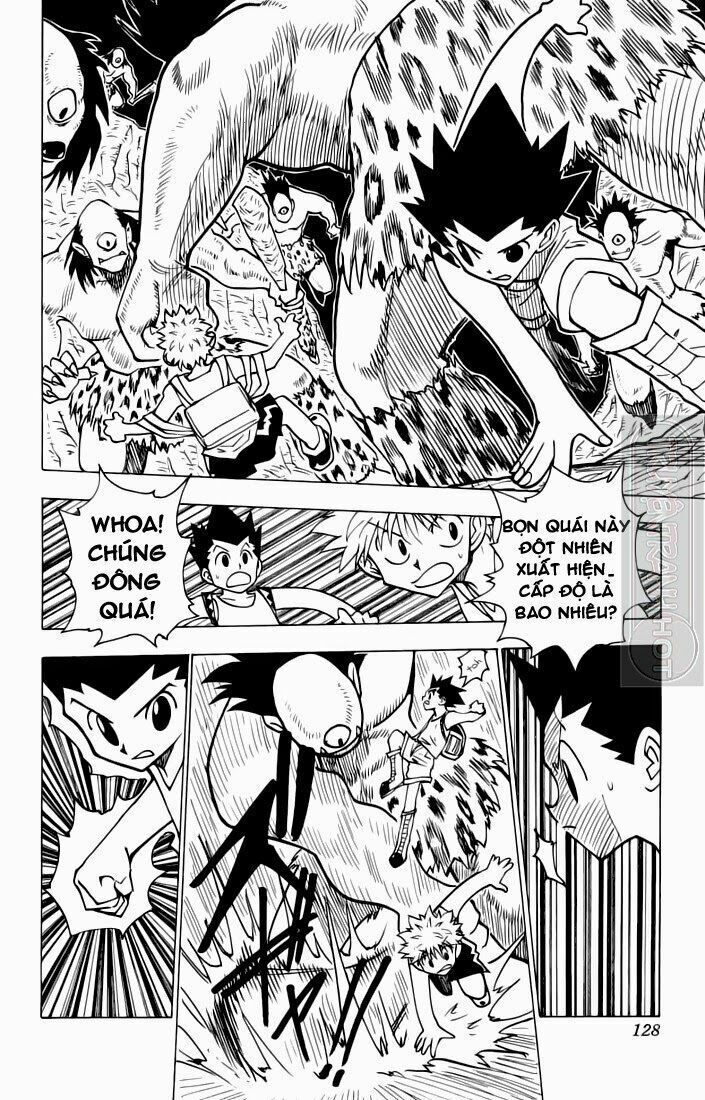Hunter X Hunter Tập 135 trang 12