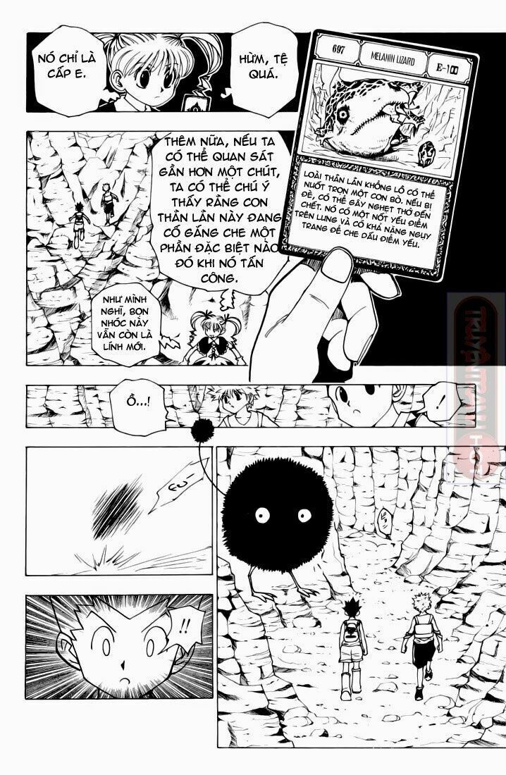 Hunter X Hunter Tập 136 trang 4