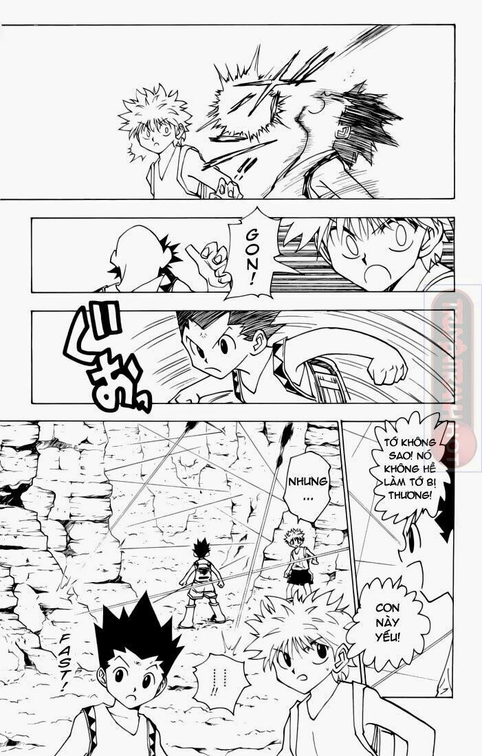 Hunter X Hunter Tập 136 trang 5