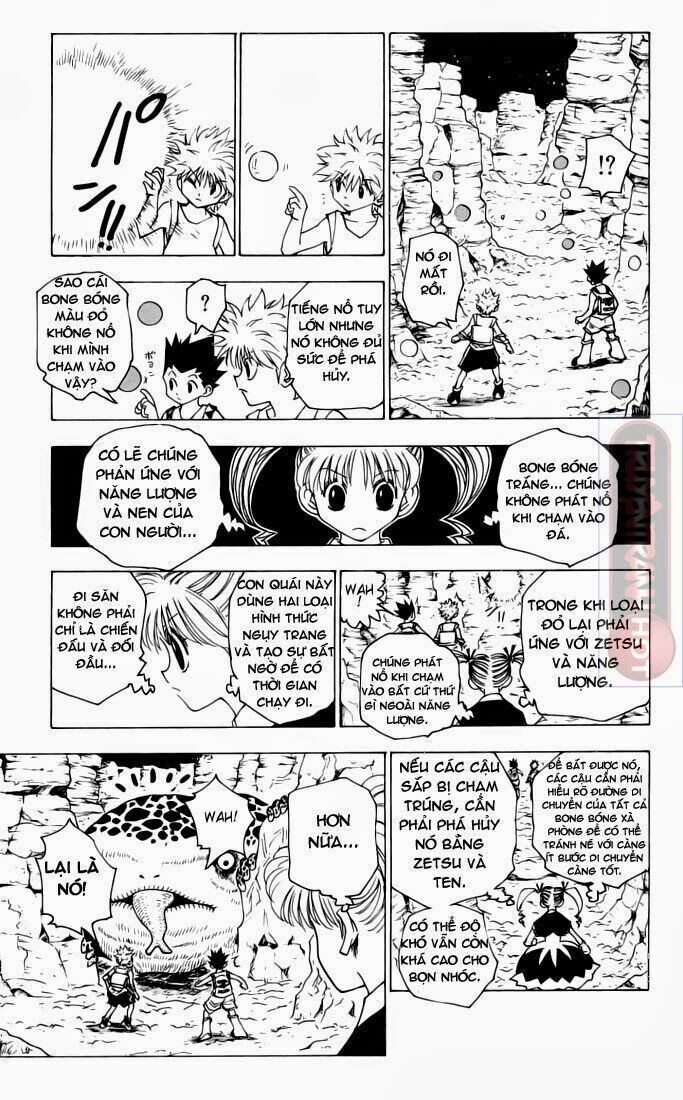 Hunter X Hunter Tập 136 trang 9