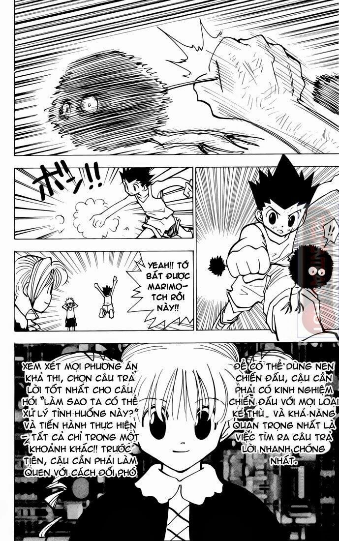 Hunter X Hunter Tập 141 trang 8