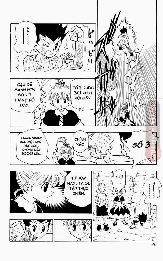 Hunter X Hunter Tập 142 trang 4