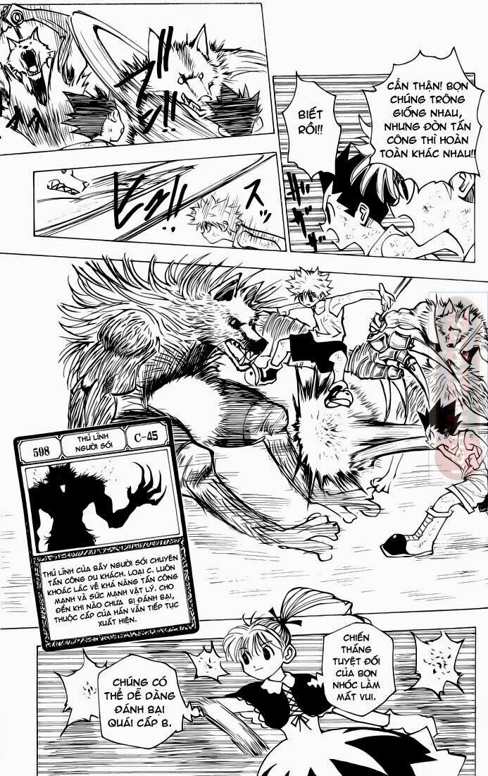 Hunter X Hunter Tập 146 trang 10