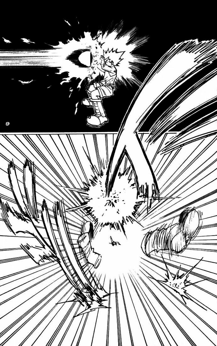 Hunter X Hunter Tập 163 trang 10