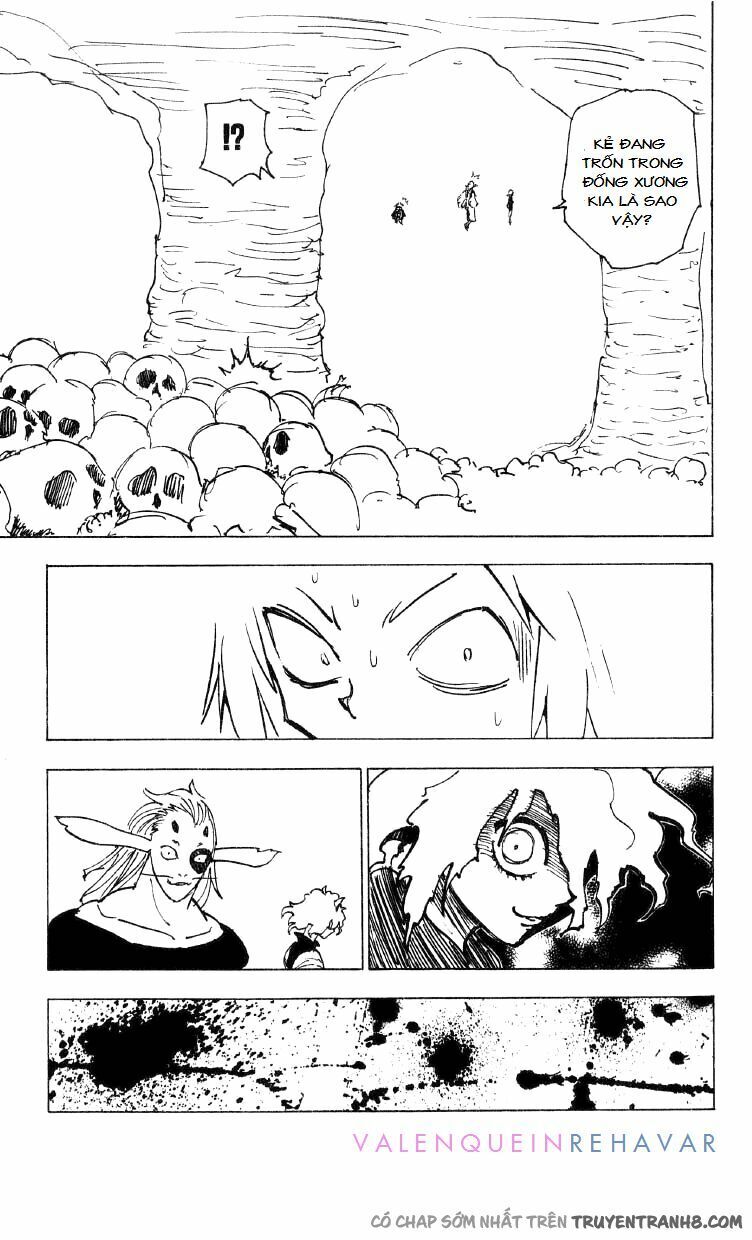 Hunter X Hunter Tập 197 trang 13