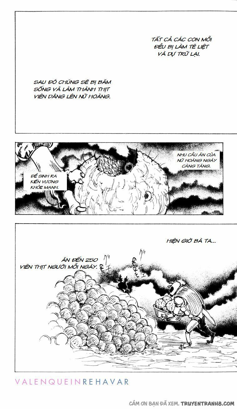 Hunter X Hunter Tập 197 trang 14