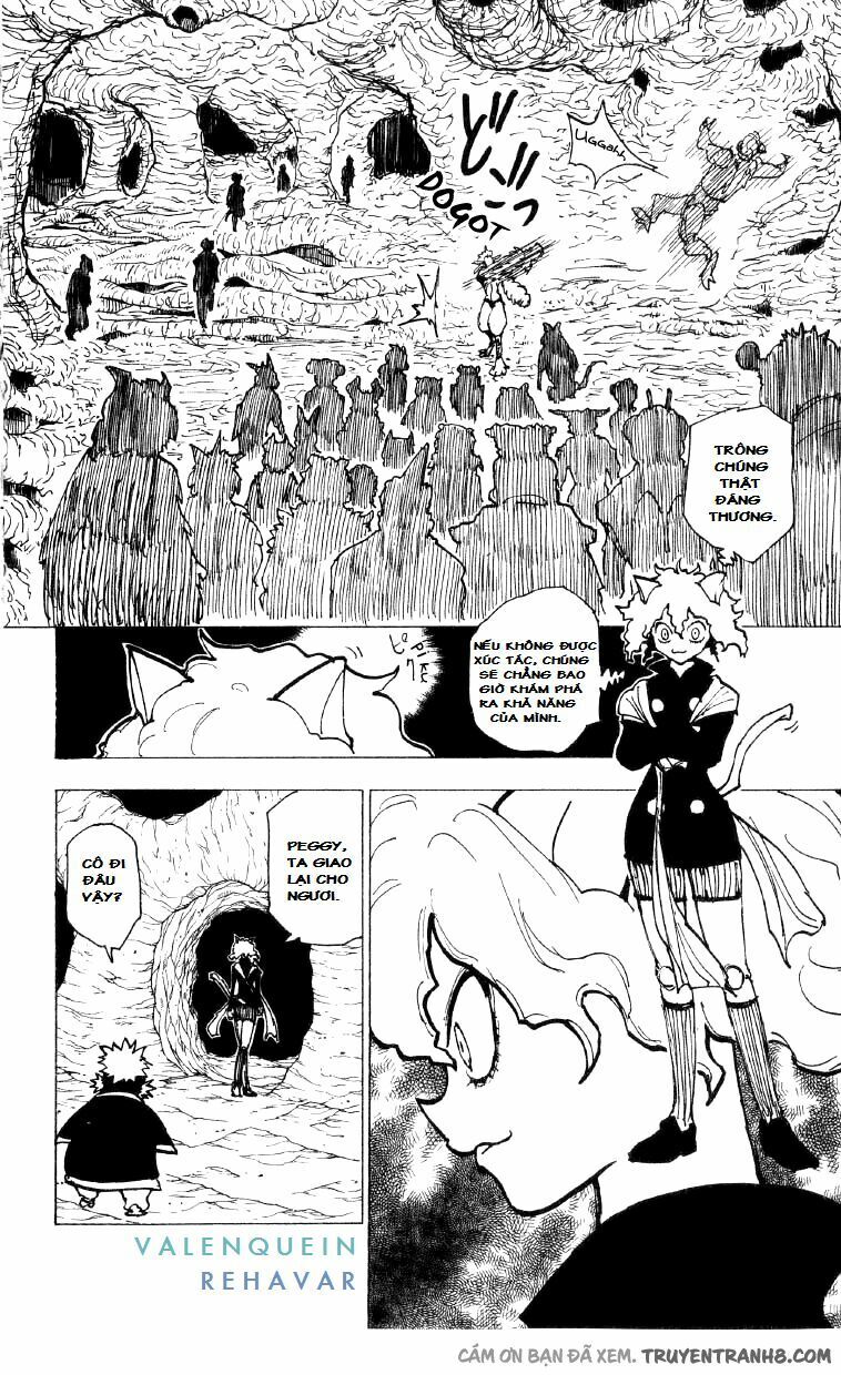 Hunter X Hunter Tập 198 trang 8