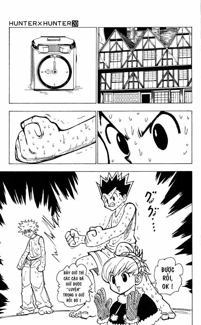 Hunter X Hunter Tập 202 trang 12