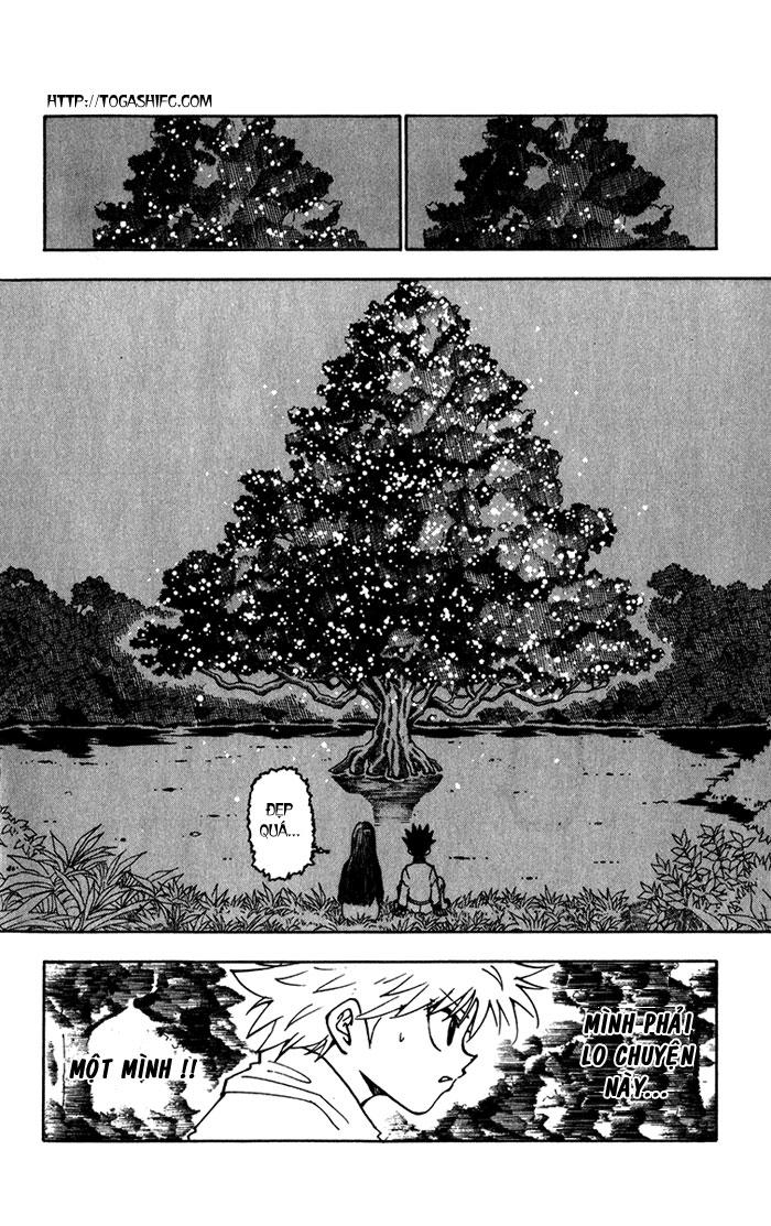 Hunter X Hunter Tập 218 trang 14
